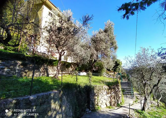 公寓 Tigullio Hills San Martino di Noceto