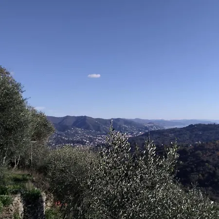 Tigullio Hills *