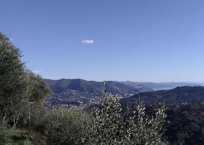 Tigullio Hills *